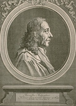 Marcello Malpighi