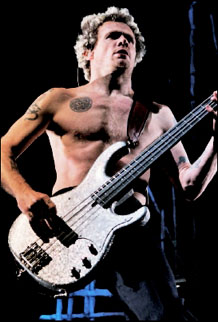 Flea